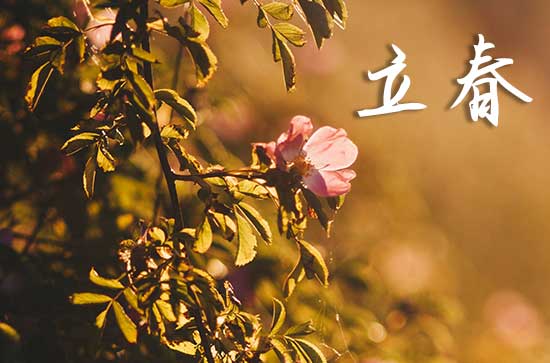 2024年立春具体的时间是几点几分 什么时候