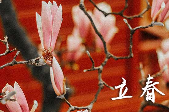 2024年立春是什么时候时间 2024年立春出火好不好