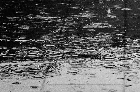 2024谷雨是第几个节气 谷雨是二十四节气第几个