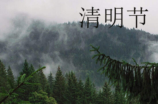 2024年清明节相关诗词  描写清明节的诗词