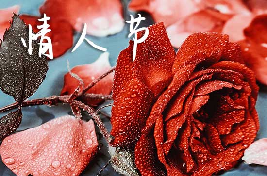 2024白色情人节幽默祝福语 白色情人节浪漫祝福句子