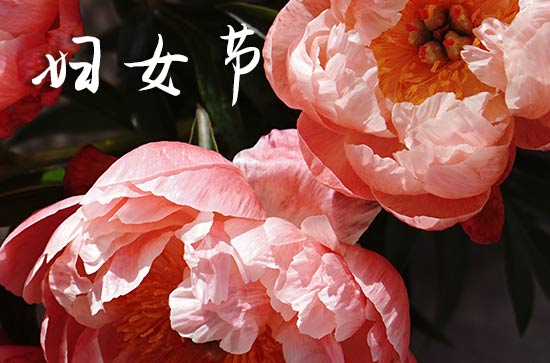 2024三八妇女节祝福语简短  2024妇女节祝福语集锦