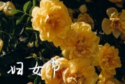 2024三八妇女节短信祝福语 3.8妇女节祝福语简短优美