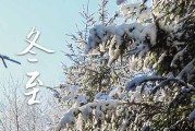 2023年农历几号冬至 2023冬至当天可以买狗吗