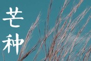 芒种节气的谚语有哪些 芒种的含义