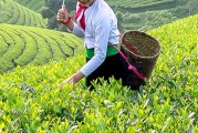 劳动节祝福语领导  2024劳动节送给领导的祝福语