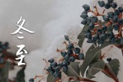 2023年哪一天冬至,今年的冬至是哪一天几号