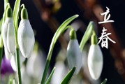 2024年立春是几月几日 2024年立春出行合适吗
