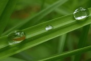 2024谷雨文案短句最新 谷雨时节朋友圈文案句子