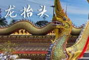 2025龙抬头农历是什么时候 2025年3月1日龙抬头出丧适合吗