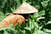 劳动节英文祝福语  2024劳动节句子简短英文