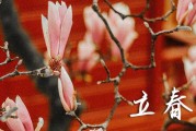 2024年立春是什么时候时间 2024年立春出火好不好