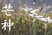 芒种节气的含义是什么意思  芒种节气的气象变化