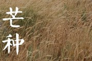 芒种节气的民间习俗有哪些   芒种节气是什么